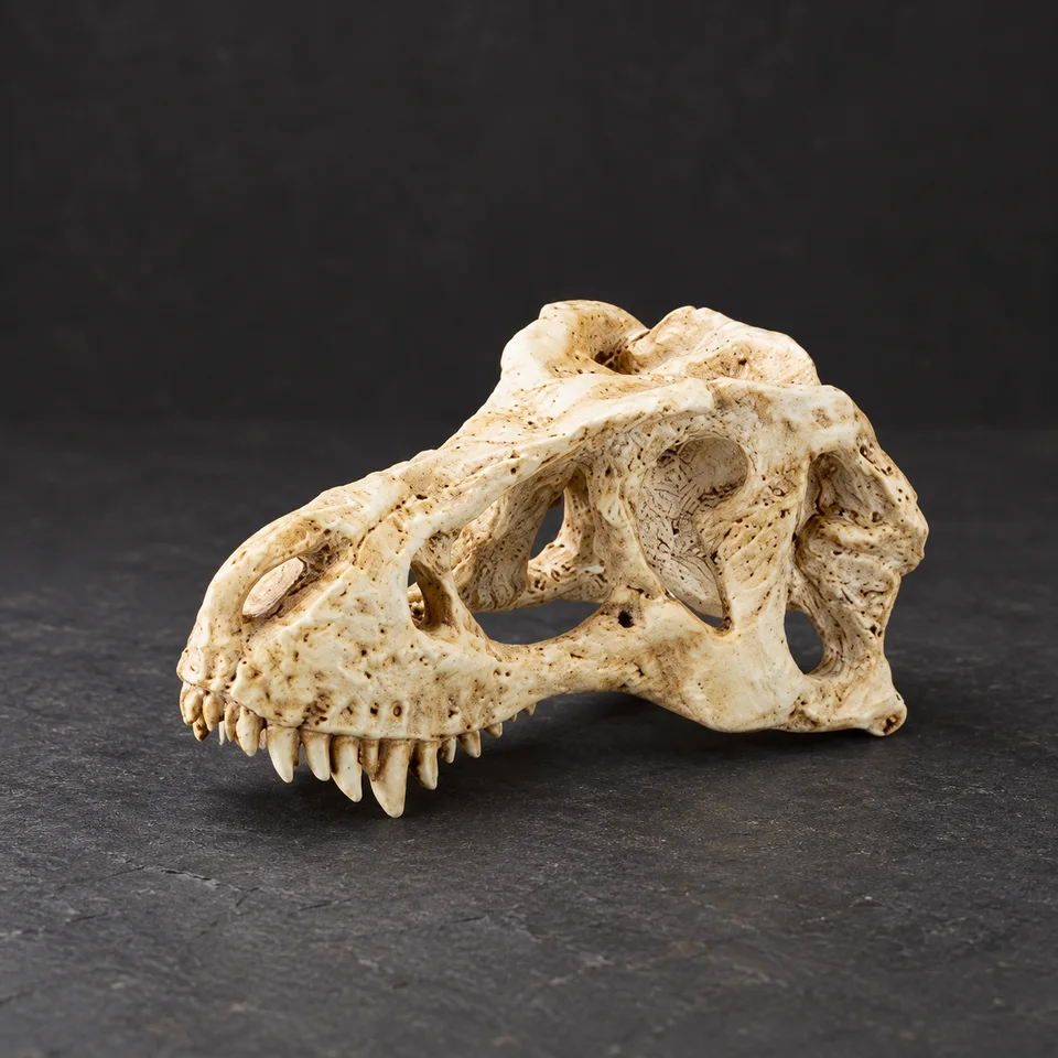 Fossil Hall, Dinosaur skull hide