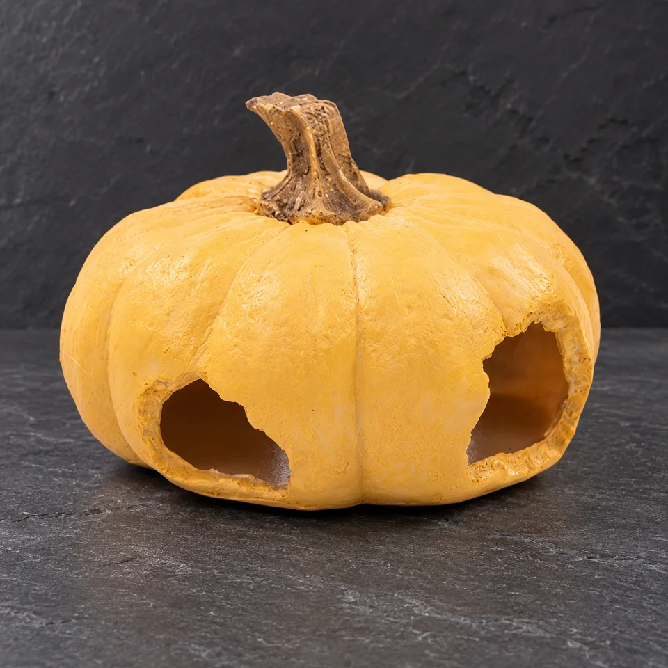 Pumpkin Lodge, Pumpkin hide