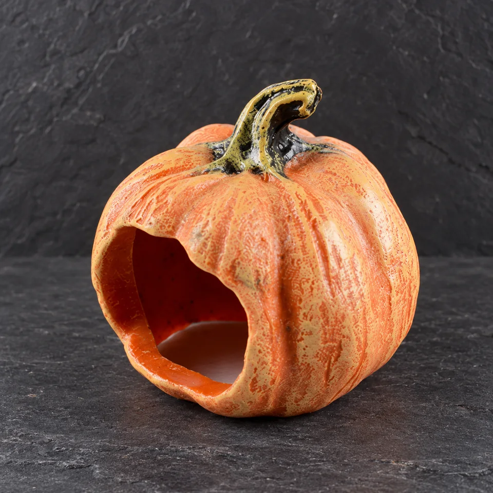 Pumpkin Lodge, Pumpkin hide