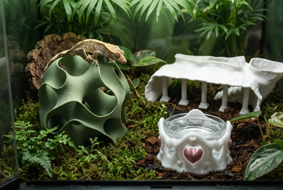 The Moon Garden